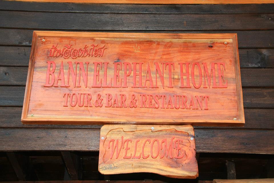 Bann Elephant *